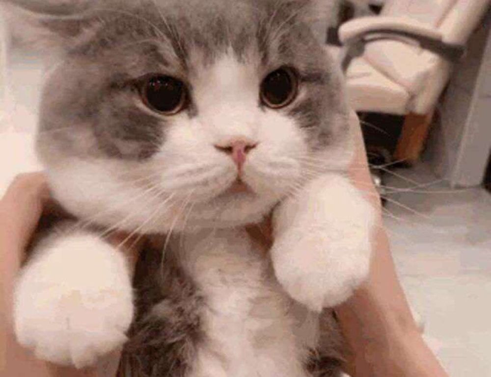 emblem listings flpsymbolcity