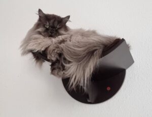 fntkech tech updates by fitness-talk