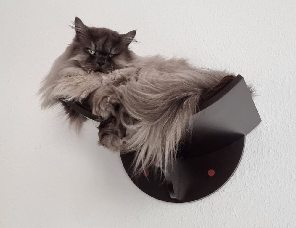 fntkech tech updates by fitness-talk