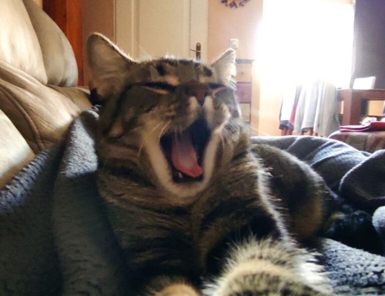 from gamerawr gamrawtek