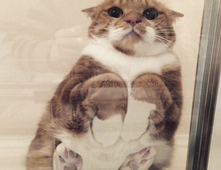 gamrawtek articles by gamerawr