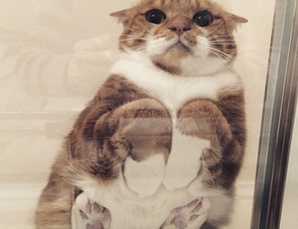 gamrawtek articles by gamerawr