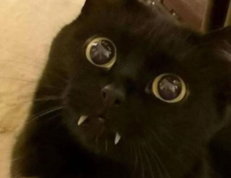 gfxpixelment photoshop guide bygfxmaker