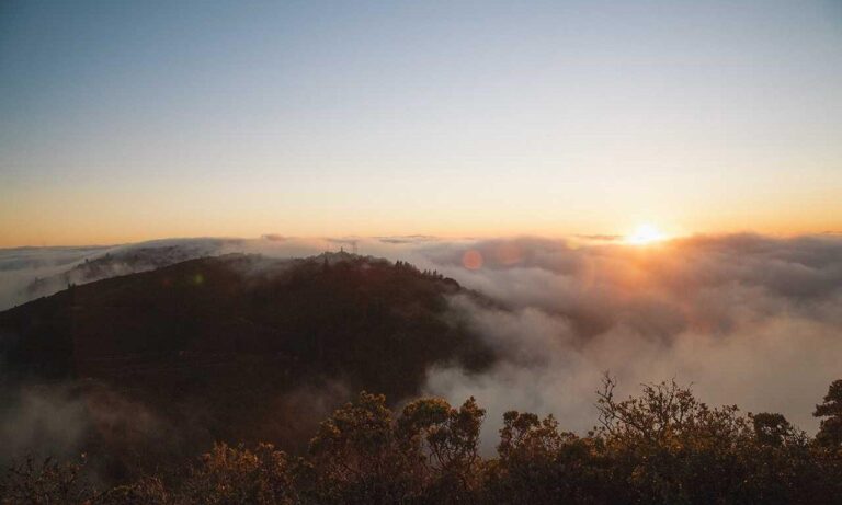 gfxpixelment tech updates bygfxmaker