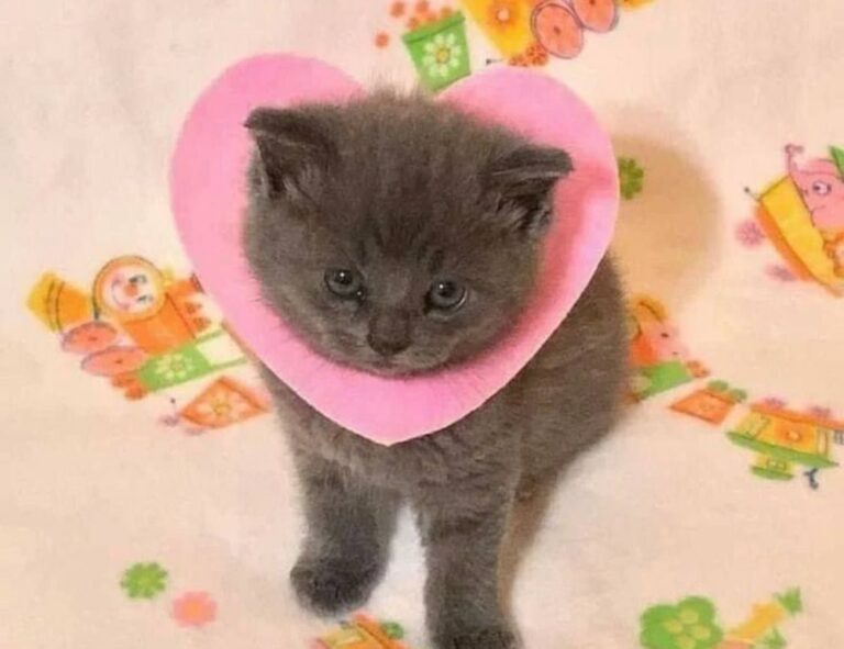 gfxtek graphics design guide from gfxmaker