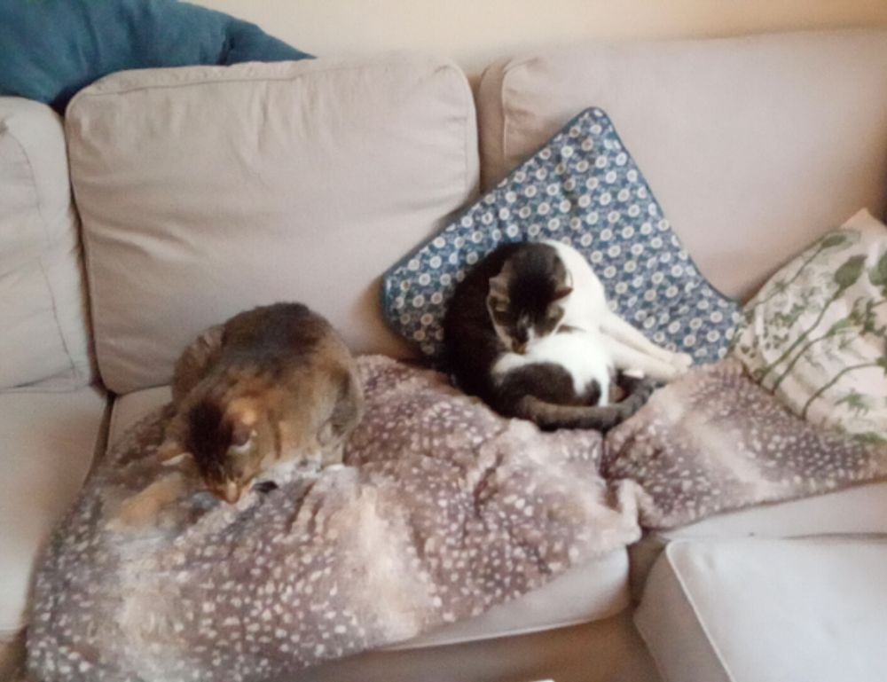 gmrrcomputer latest technology news from gamerawr