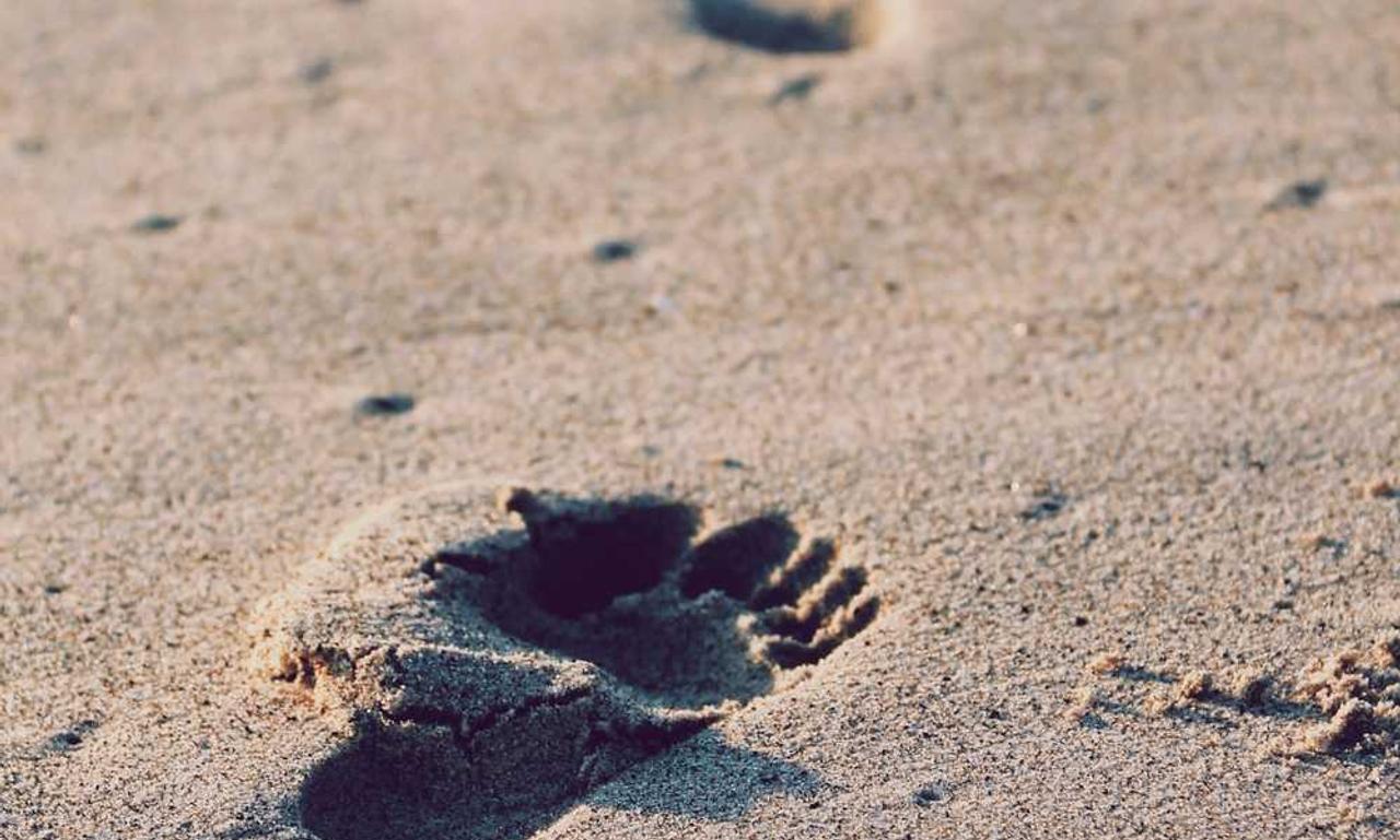 how is mogothrow77 software installation