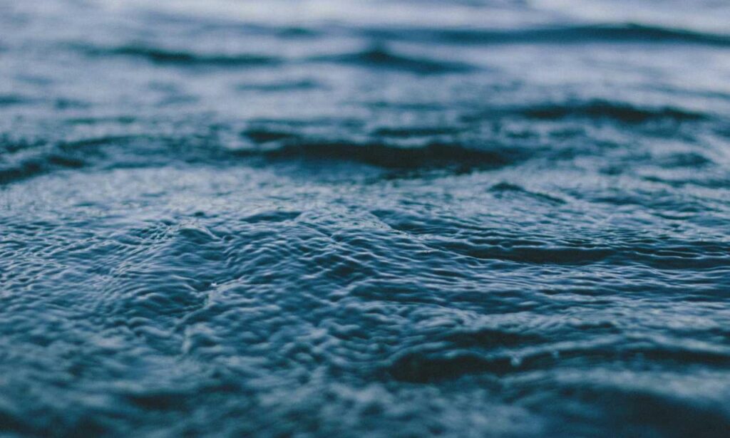 how to download biszoxtall software