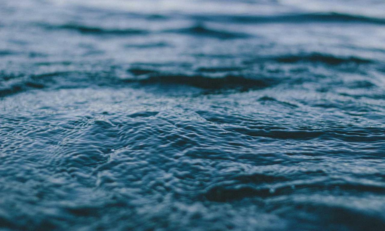 how to download biszoxtall software