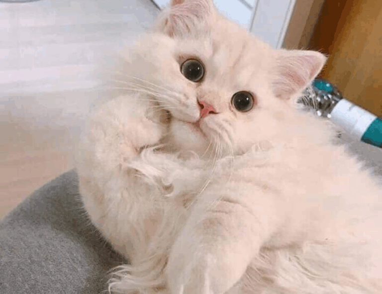 how to open feduspray