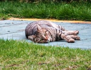 how to prevent fraud in businesses etrstech