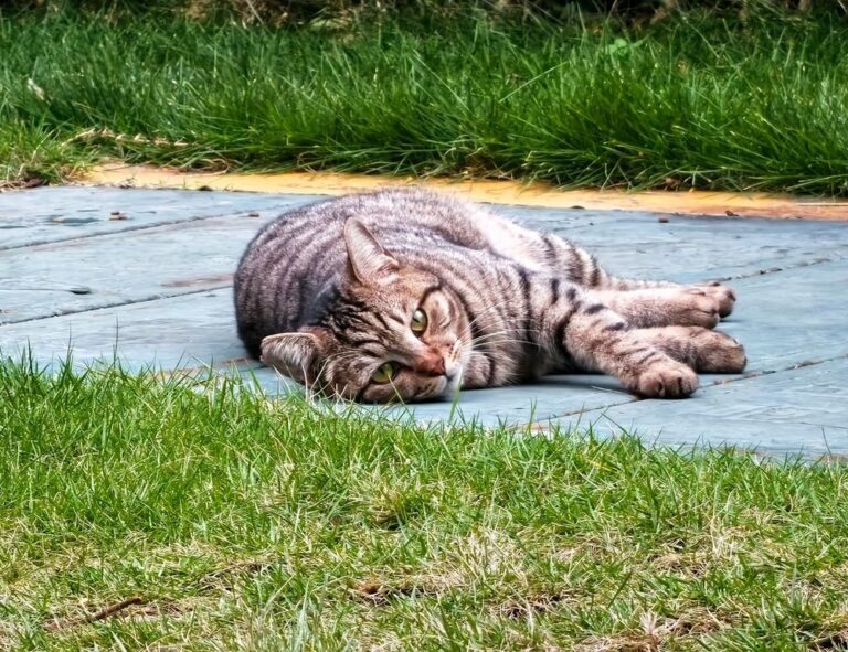 how to prevent fraud in businesses etrstech