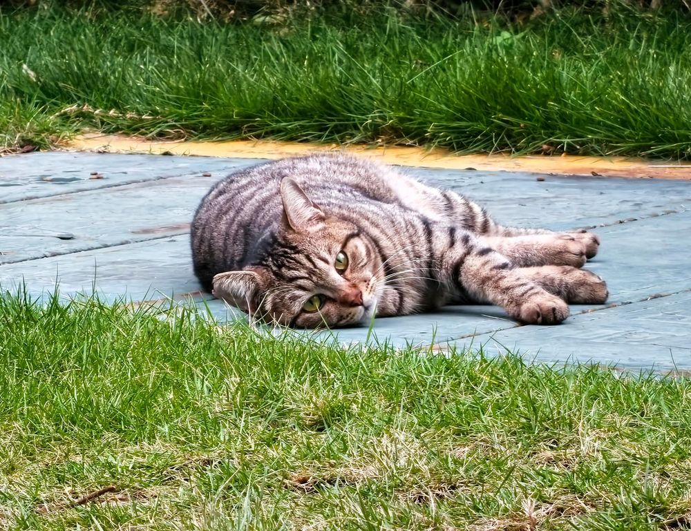 how to prevent fraud in businesses etrstech