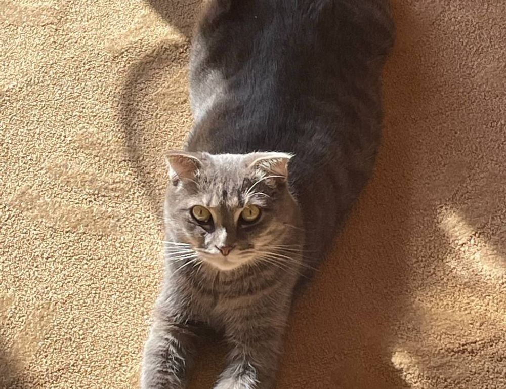 lamp model number lwtc148