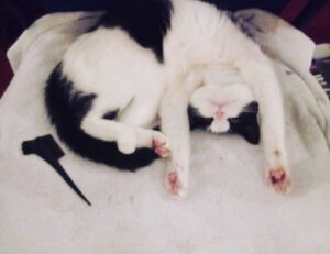 latest tech trends gamrawtek