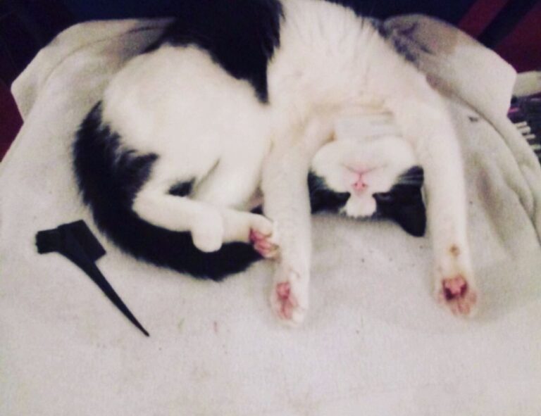 latest tech trends gamrawtek