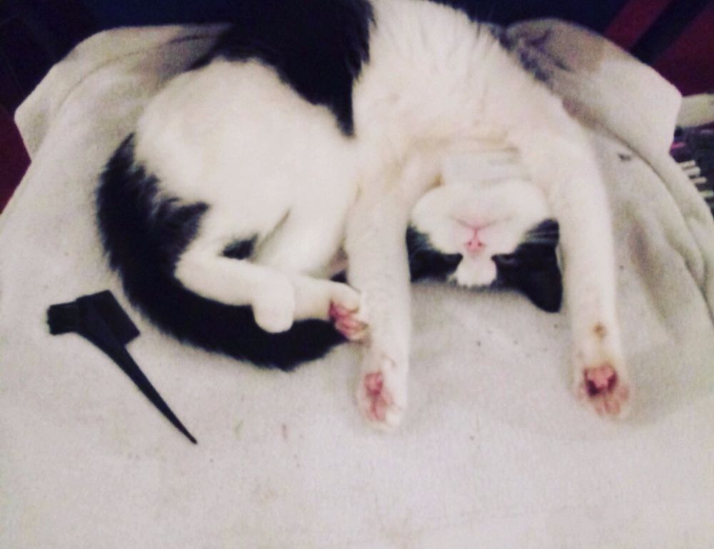 latest tech trends gamrawtek