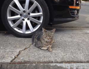 latest tech updates jotechgeeks