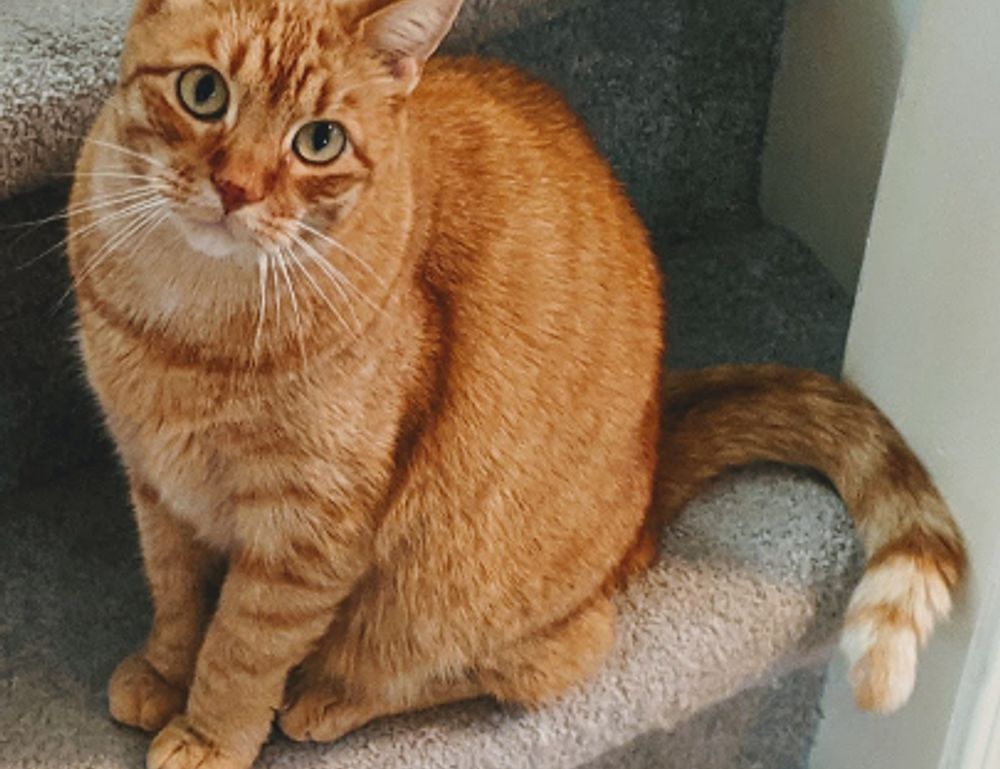 newest tech updates jotechgeeks