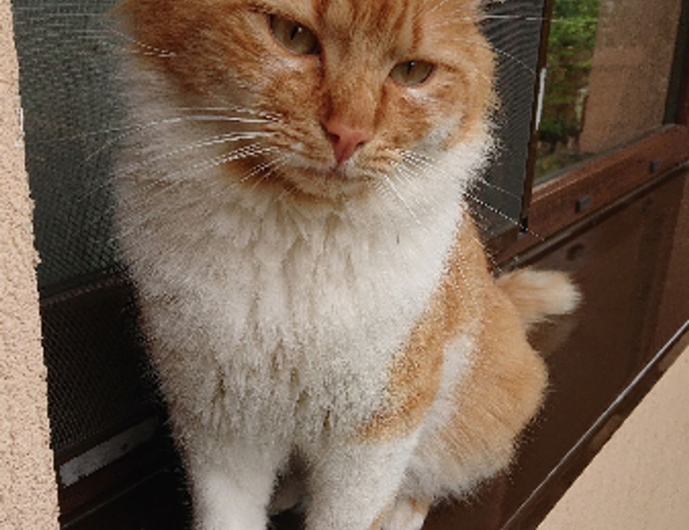 scookietech world techie news by simcookie