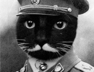 software gfxpixelment