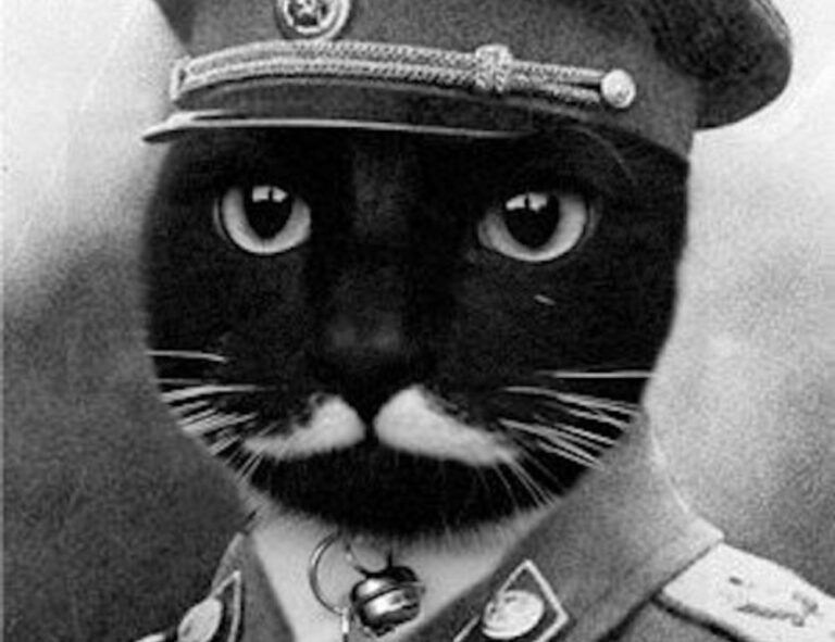 software gfxpixelment