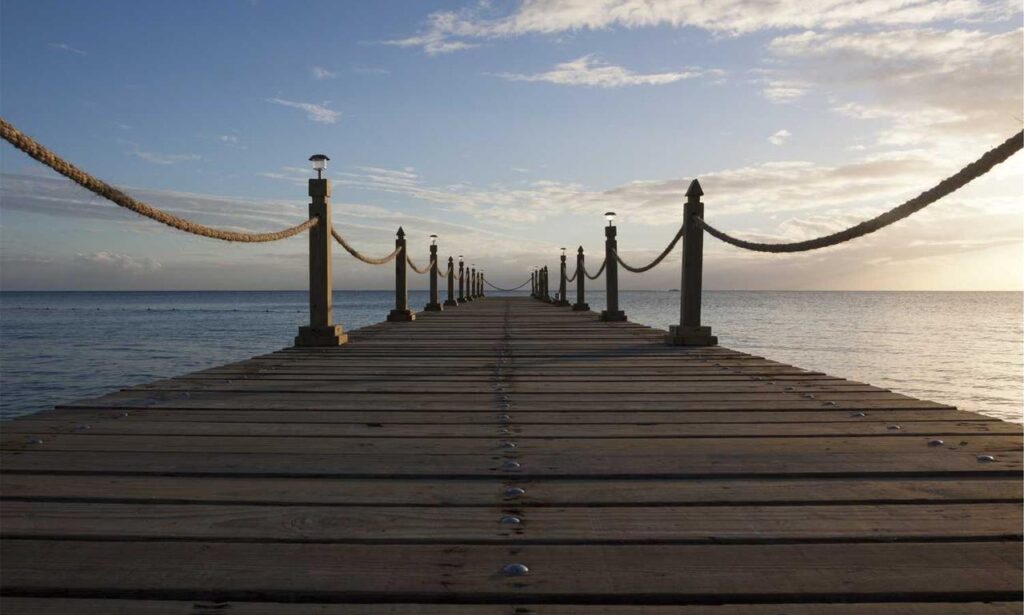 software hcs 411gits updated