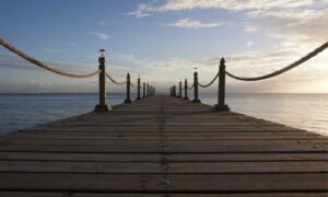 software hcs 411gits updated