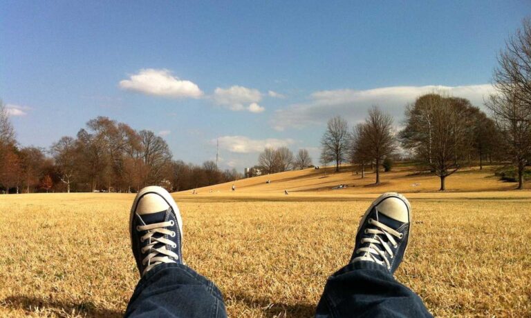 software susbluezilla