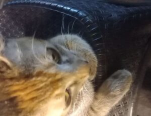 tech news togtechify