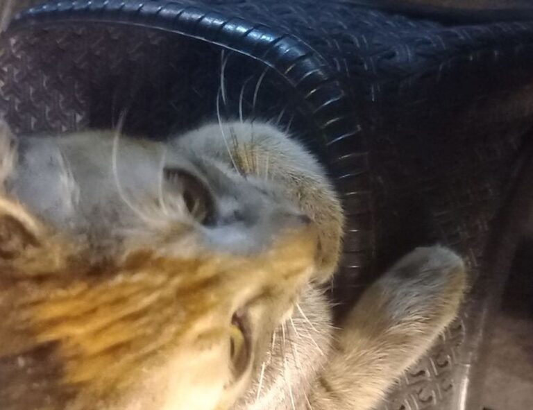 tech news togtechify