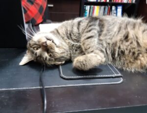 tech updates gfxpixelment