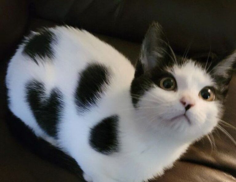 technology news etrstech