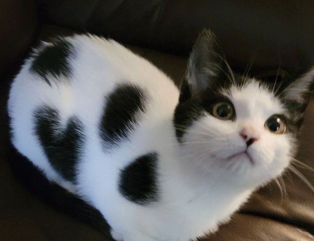 technology news etrstech