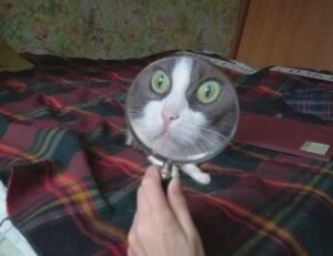 technology updates etrstech