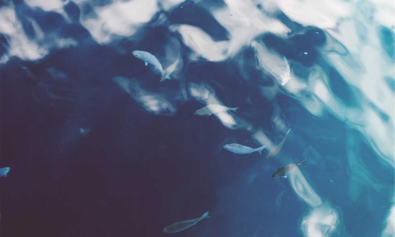 the evolution of casino slots etrstech