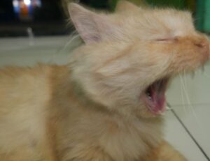 trending news gmrrcomputer