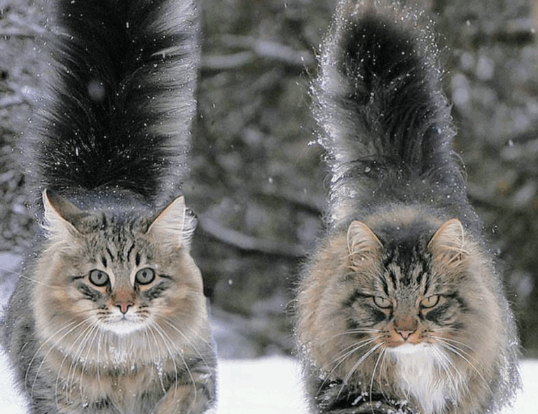 what are try and except in python 2579xao6