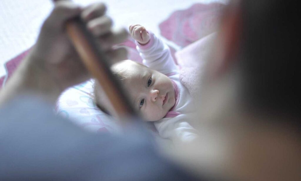 what is 8tshare6a python code