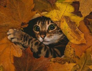 what is technology update jotechgeeks