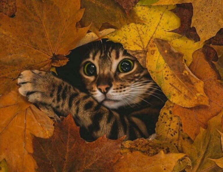 what is technology update jotechgeeks