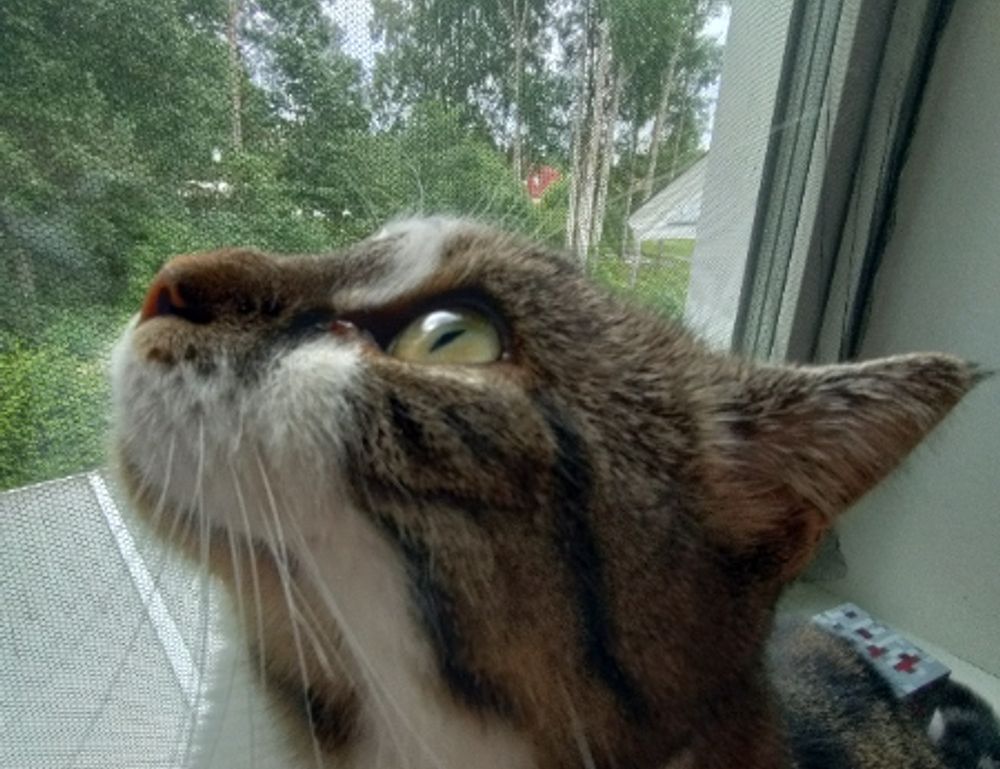 when doorsun1524 released