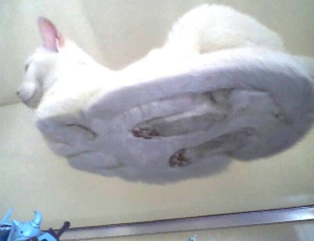 which logos package should i buy flpsymbolcity