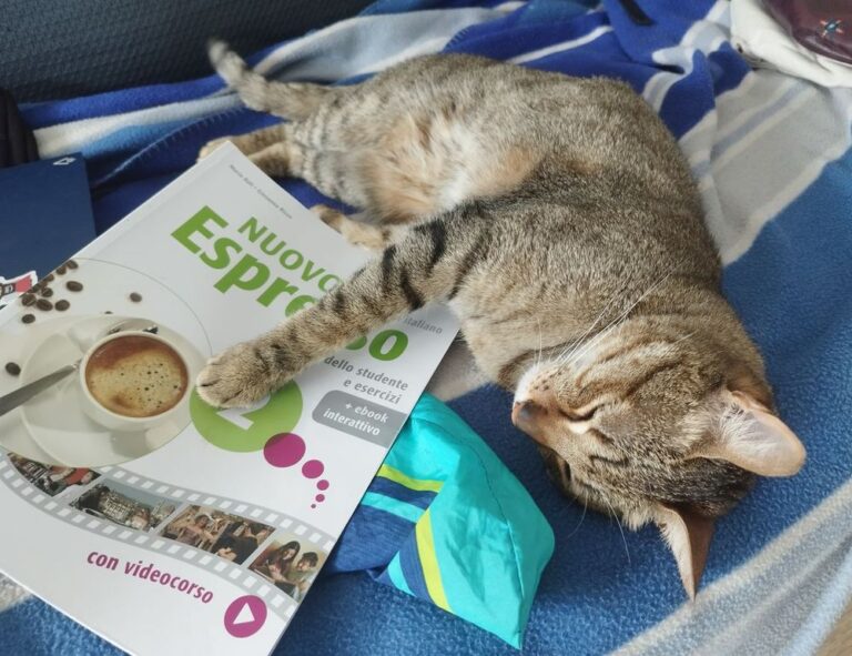 which obernaft character should i play