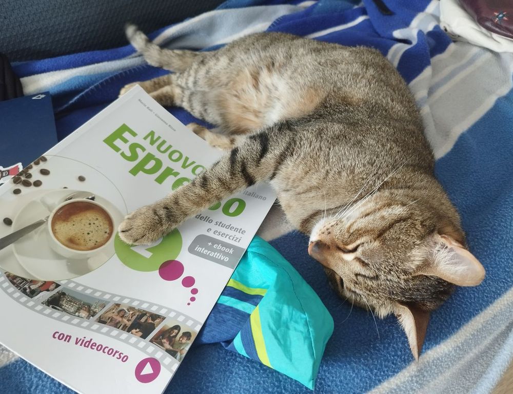 which obernaft character should i play