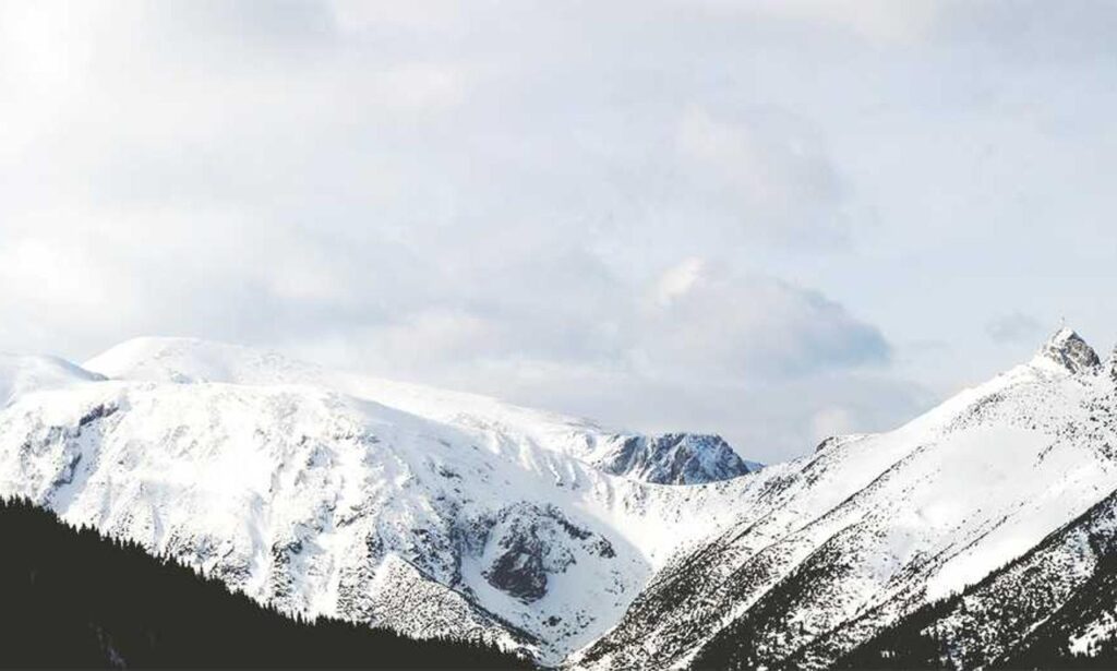 which tech jobs are in demand jotechgeeks