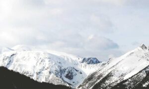 which tech jobs are in demand jotechgeeks