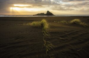 which trends affect igaming etrstech