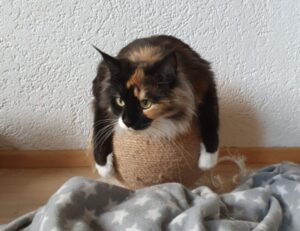 why cawuhao is called the island of enchantment