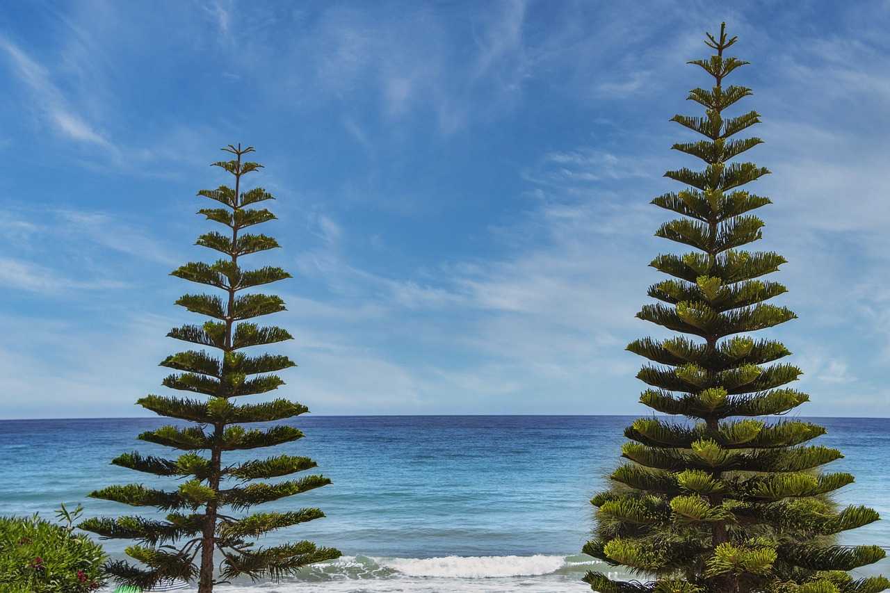 why is uhoebeans software update failing